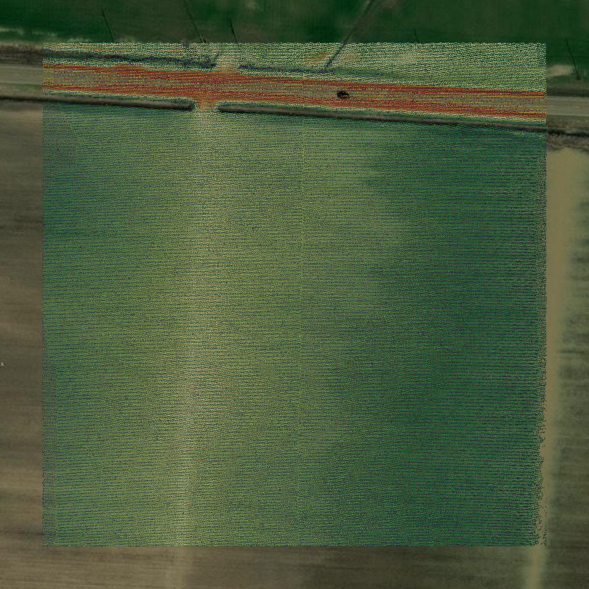 This image shows a LiDAR point cloud in Coahoma County created using GIS data in Equator.