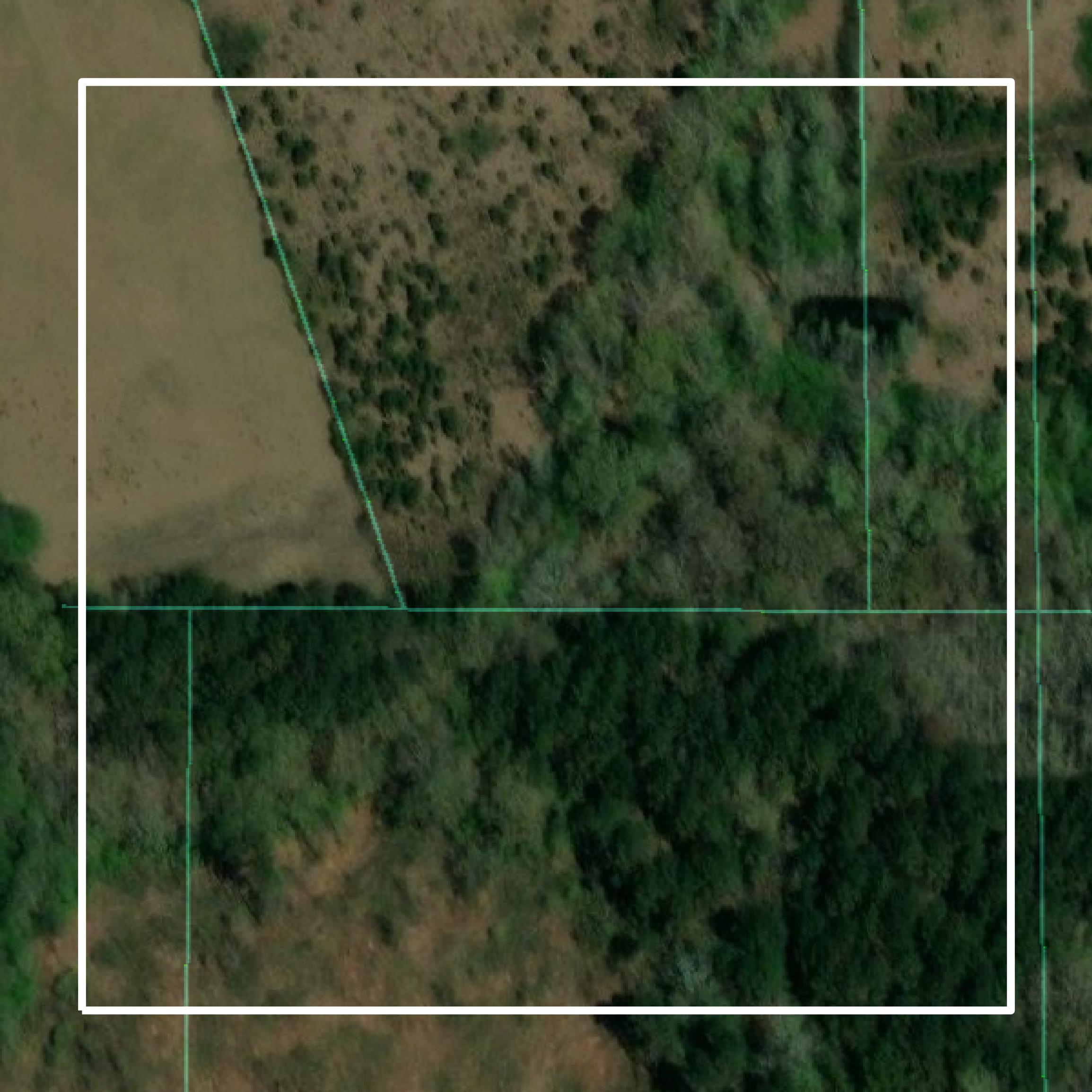 This image shows parcel and building data in Copiah County created using GIS data in Equator.
