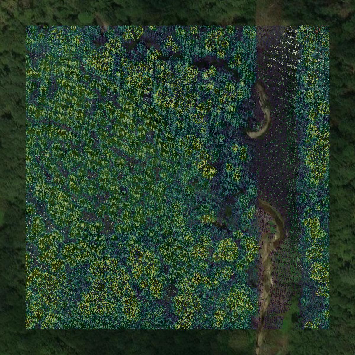 This image shows a LiDAR point cloud in Copiah County created using GIS data in Equator.