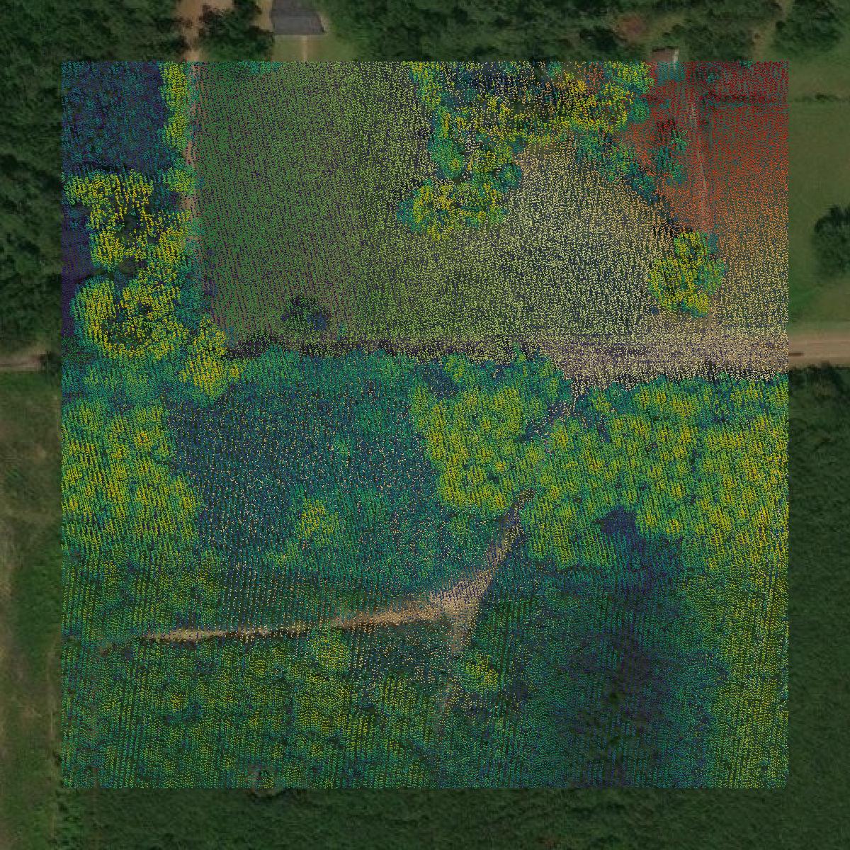 This image shows a LiDAR point cloud in Copiah County created using GIS data in Equator.