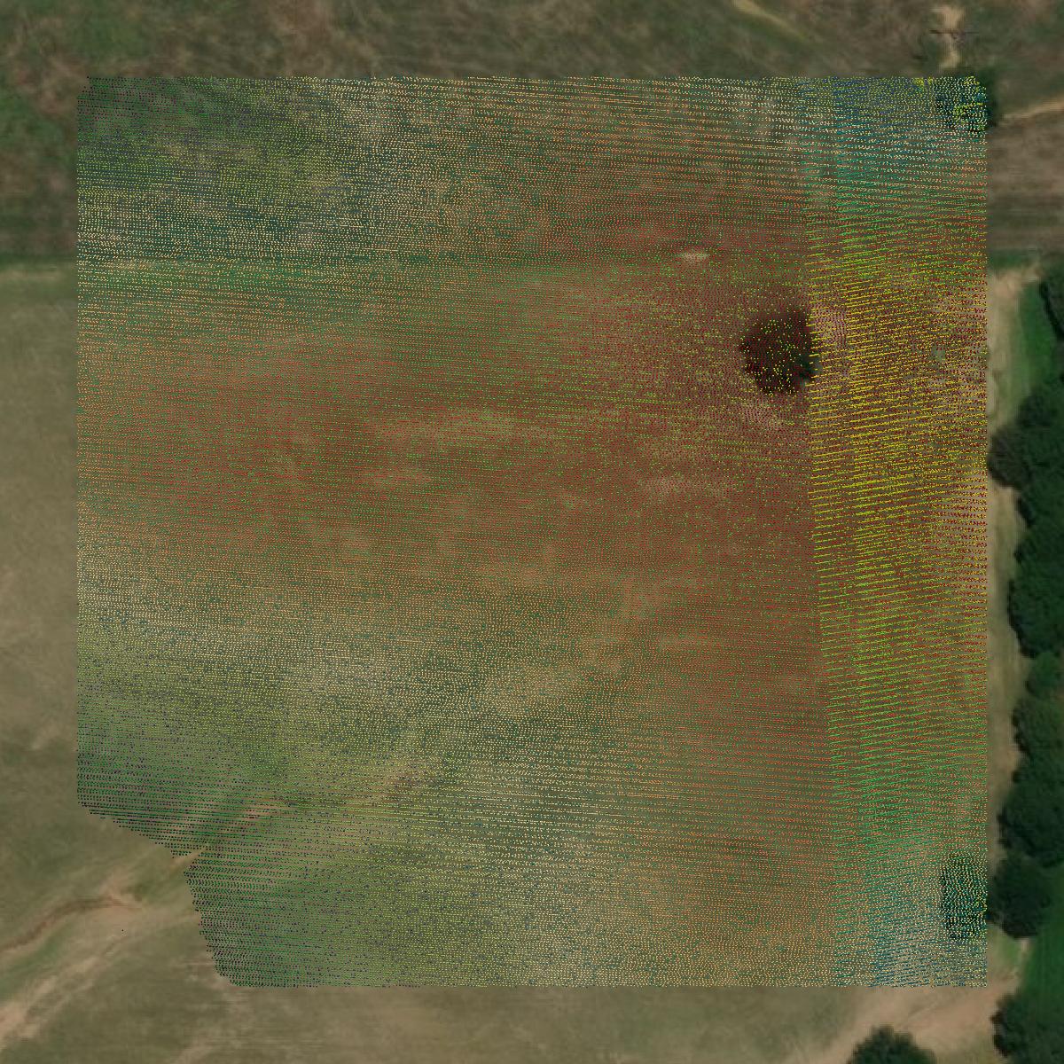 This image shows a LiDAR point cloud in Covington County created using GIS data in Equator.