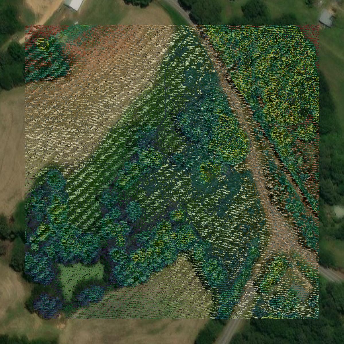 This image shows a LiDAR point cloud in Covington County created using GIS data in Equator.