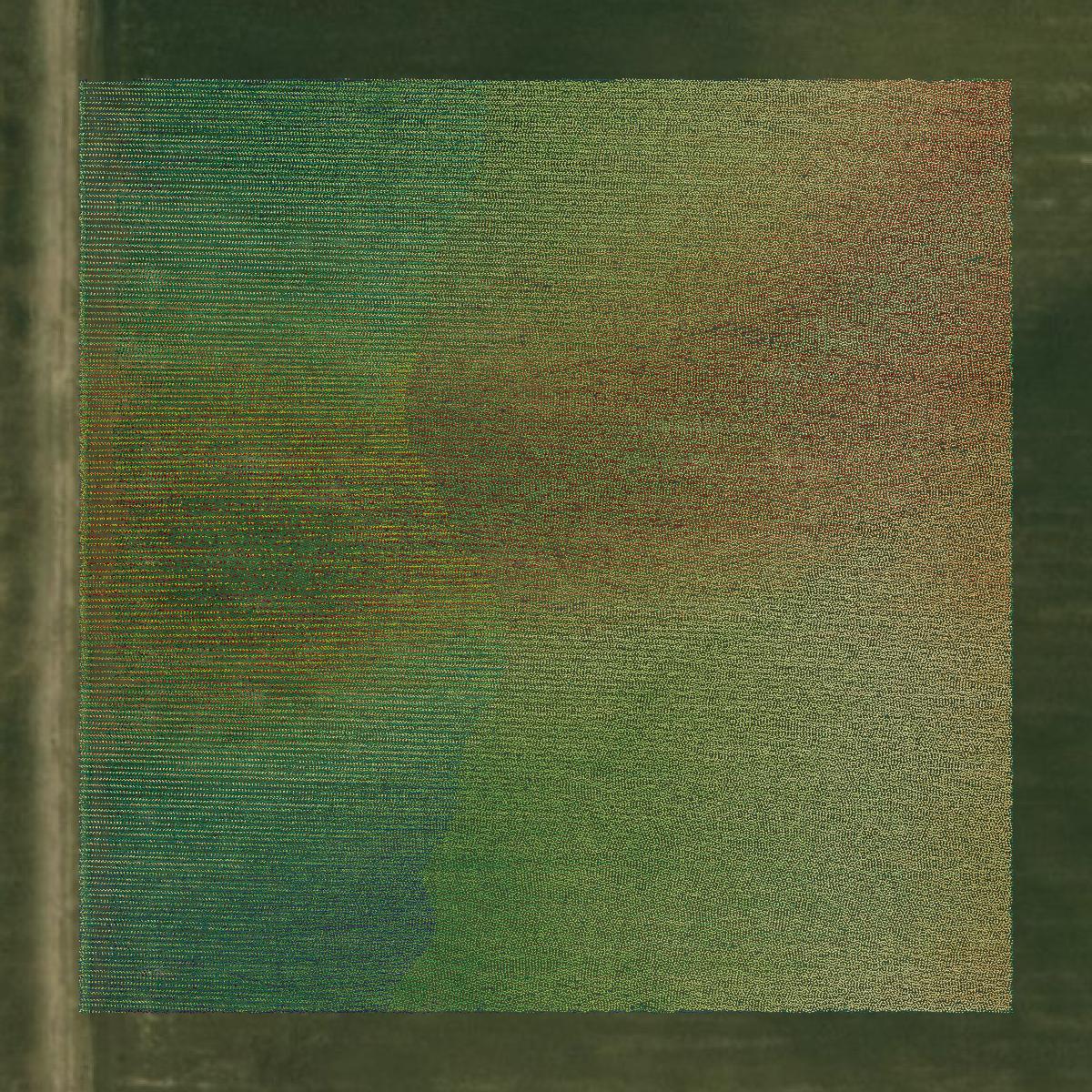 This image shows a LiDAR point cloud in DeSoto County created using GIS data in Equator.