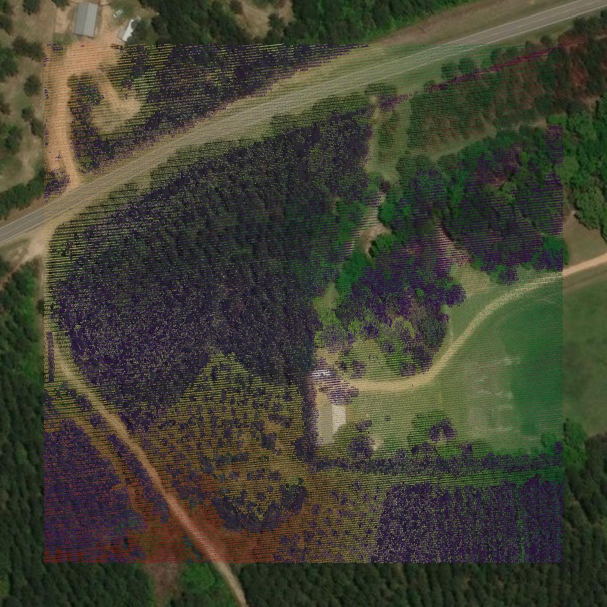 This image shows a LiDAR point cloud in Forrest County created using GIS data in Equator.