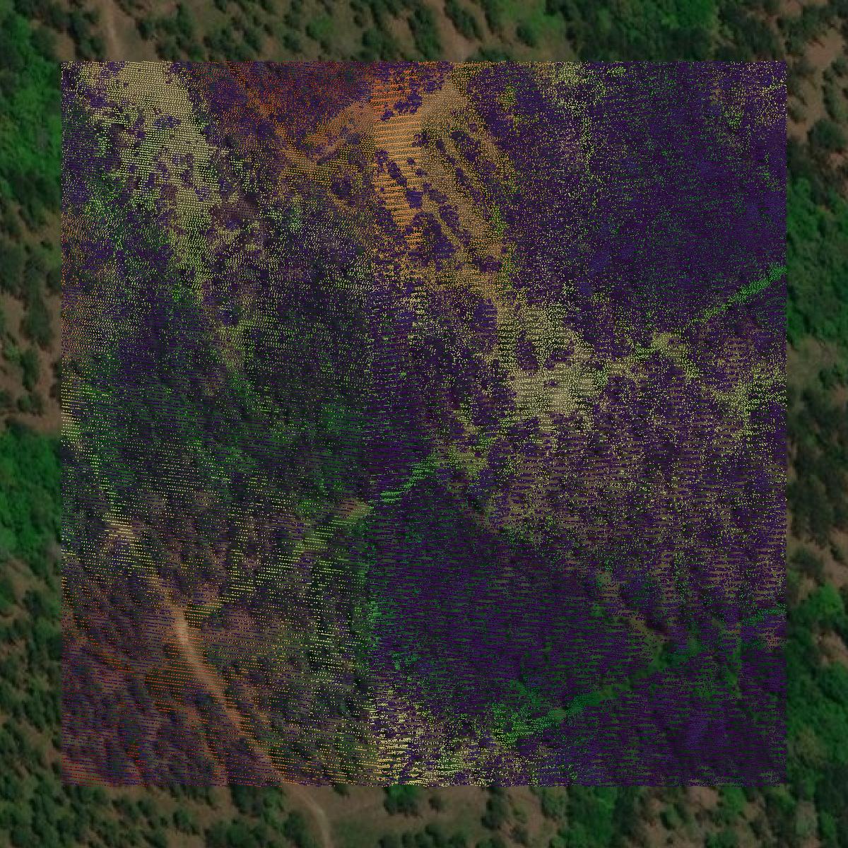 This image shows a LiDAR point cloud in Forrest County created using GIS data in Equator.