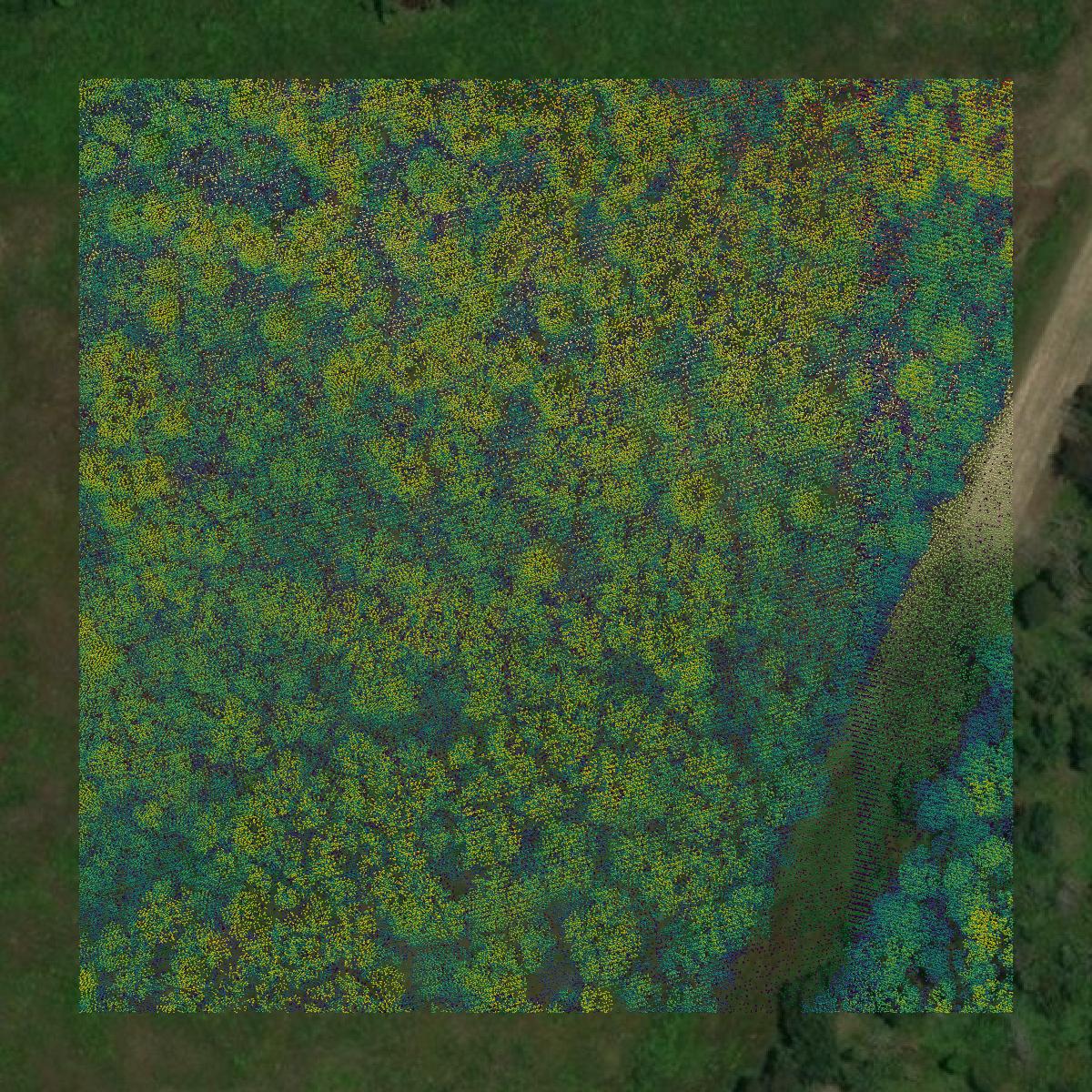 This image shows a LiDAR point cloud in Franklin County created using GIS data in Equator.