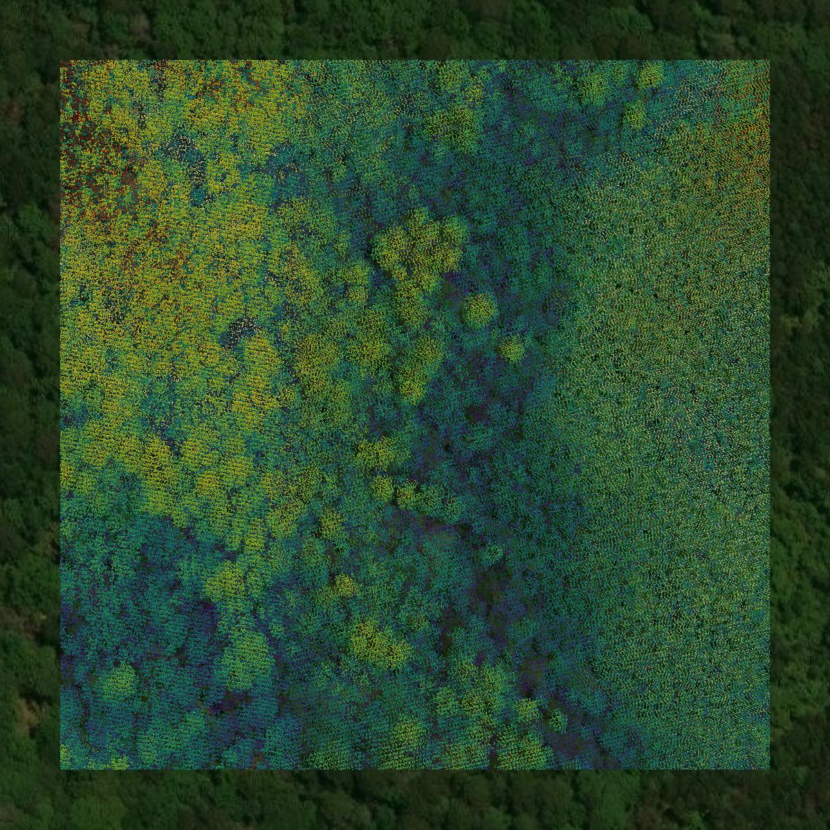 This image shows a LiDAR point cloud in Franklin County created using GIS data in Equator.
