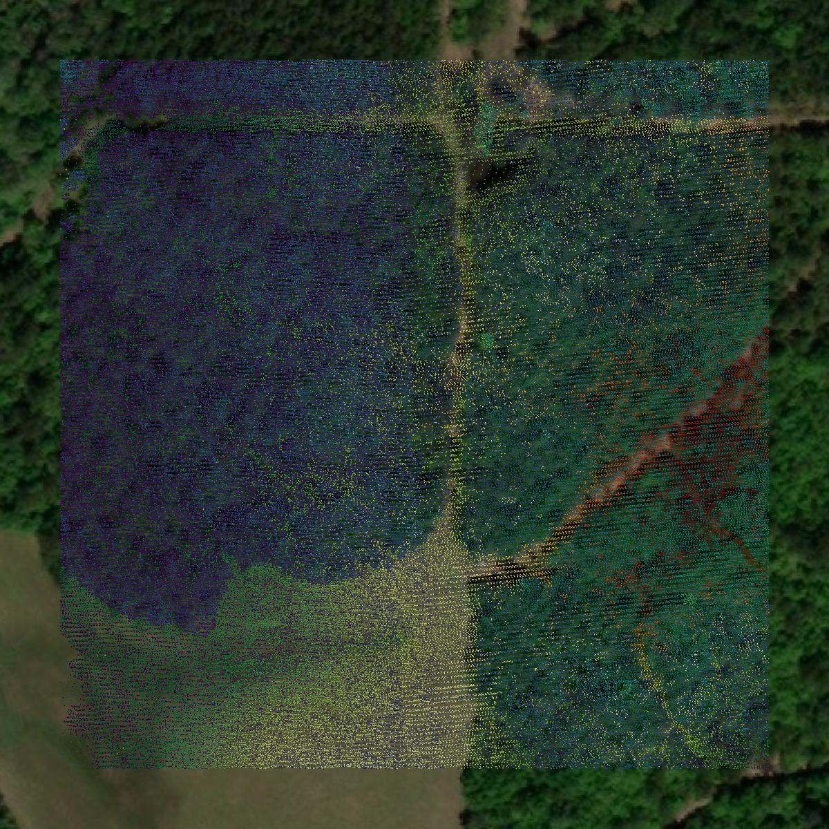 This image shows a LiDAR point cloud in George County created using GIS data in Equator.