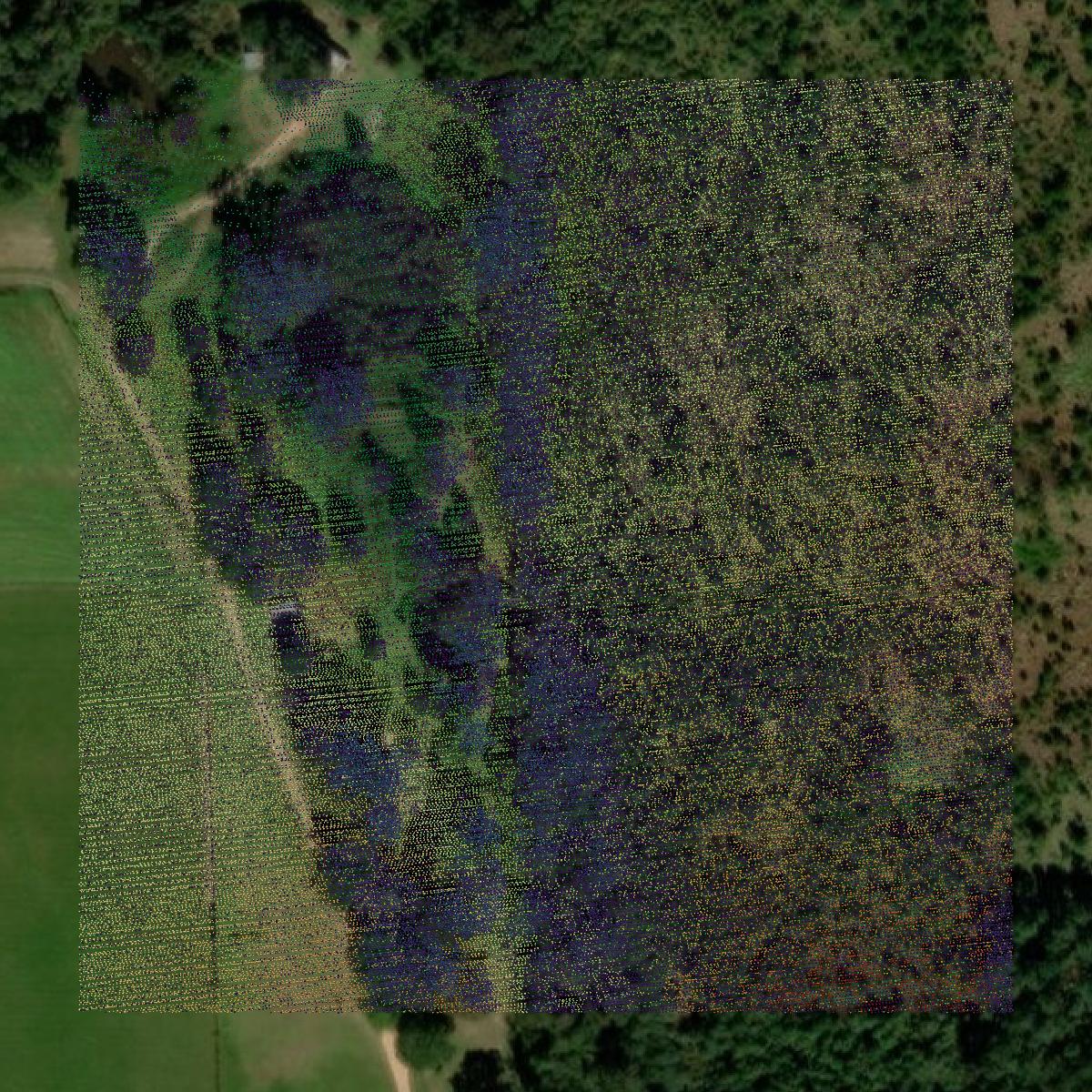 This image shows a LiDAR point cloud in George County created using GIS data in Equator.