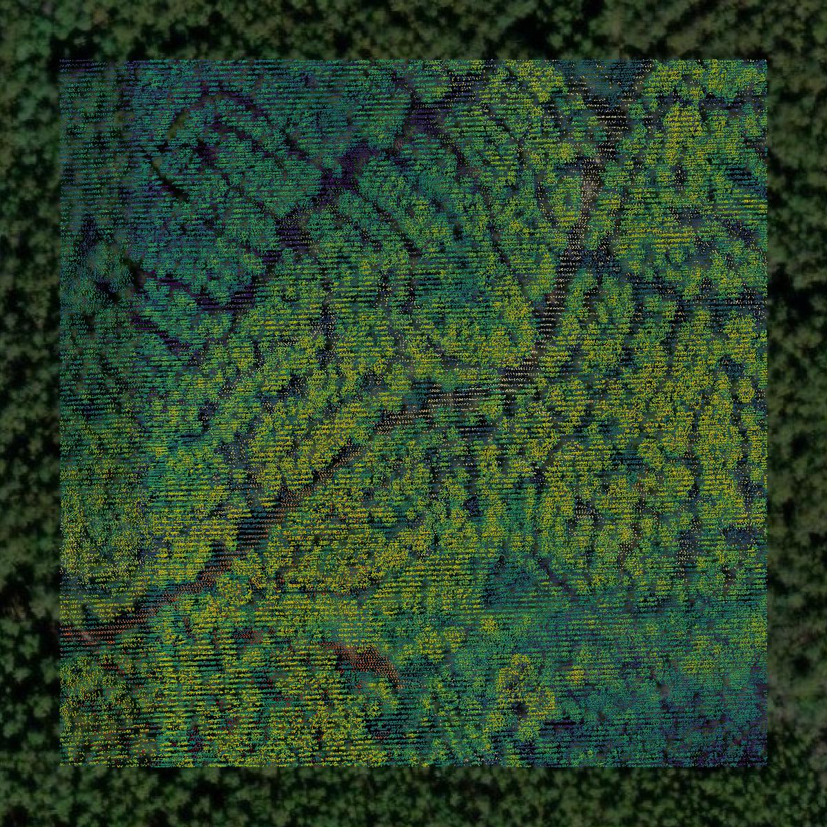 This image shows a LiDAR point cloud in Greene County created using GIS data in Equator.