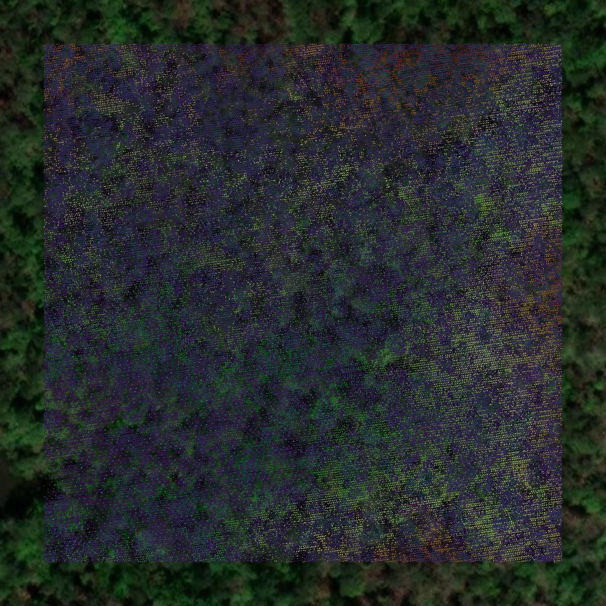 This image shows a LiDAR point cloud in Greene County created using GIS data in Equator.