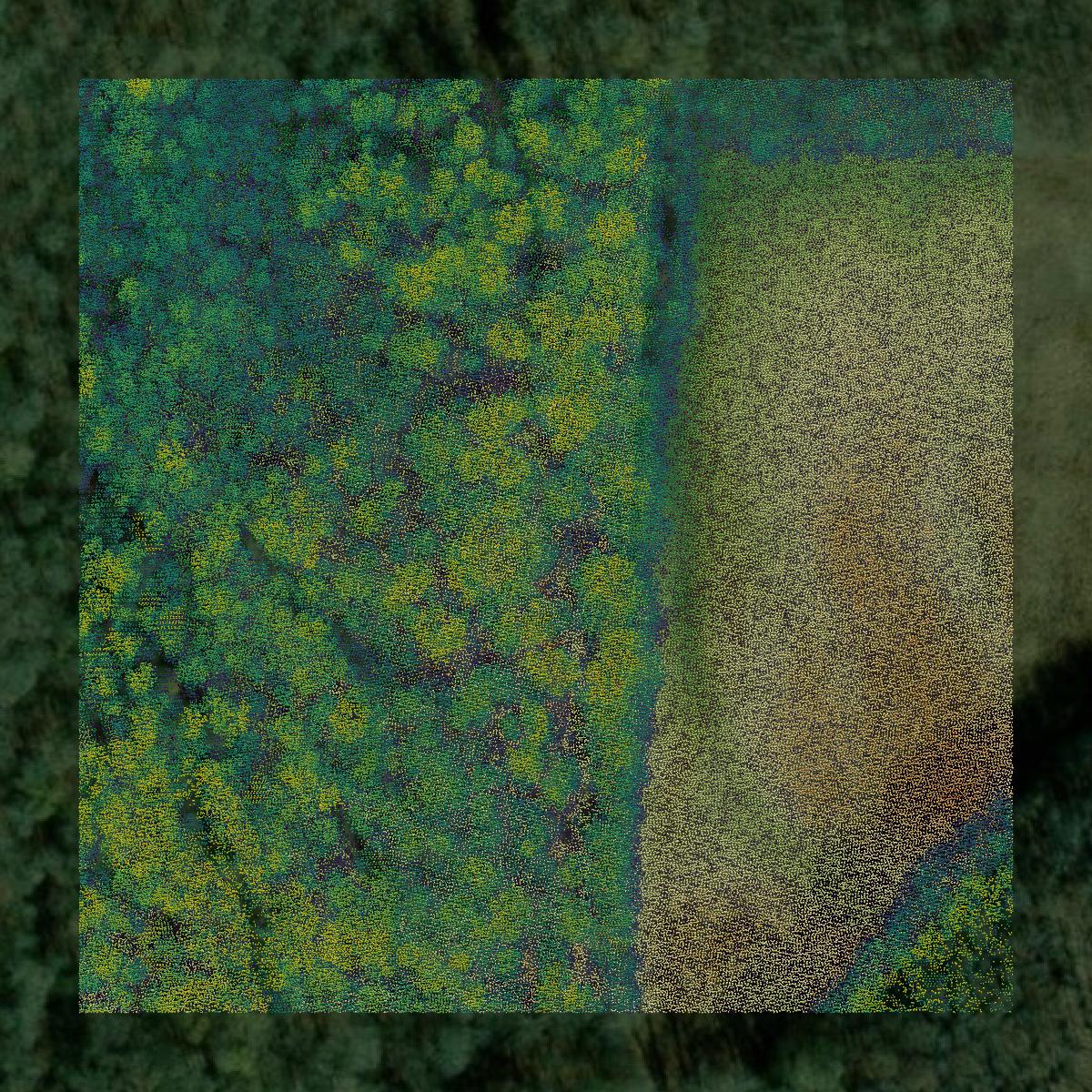 This image shows a LiDAR point cloud in Grenada County created using GIS data in Equator.
