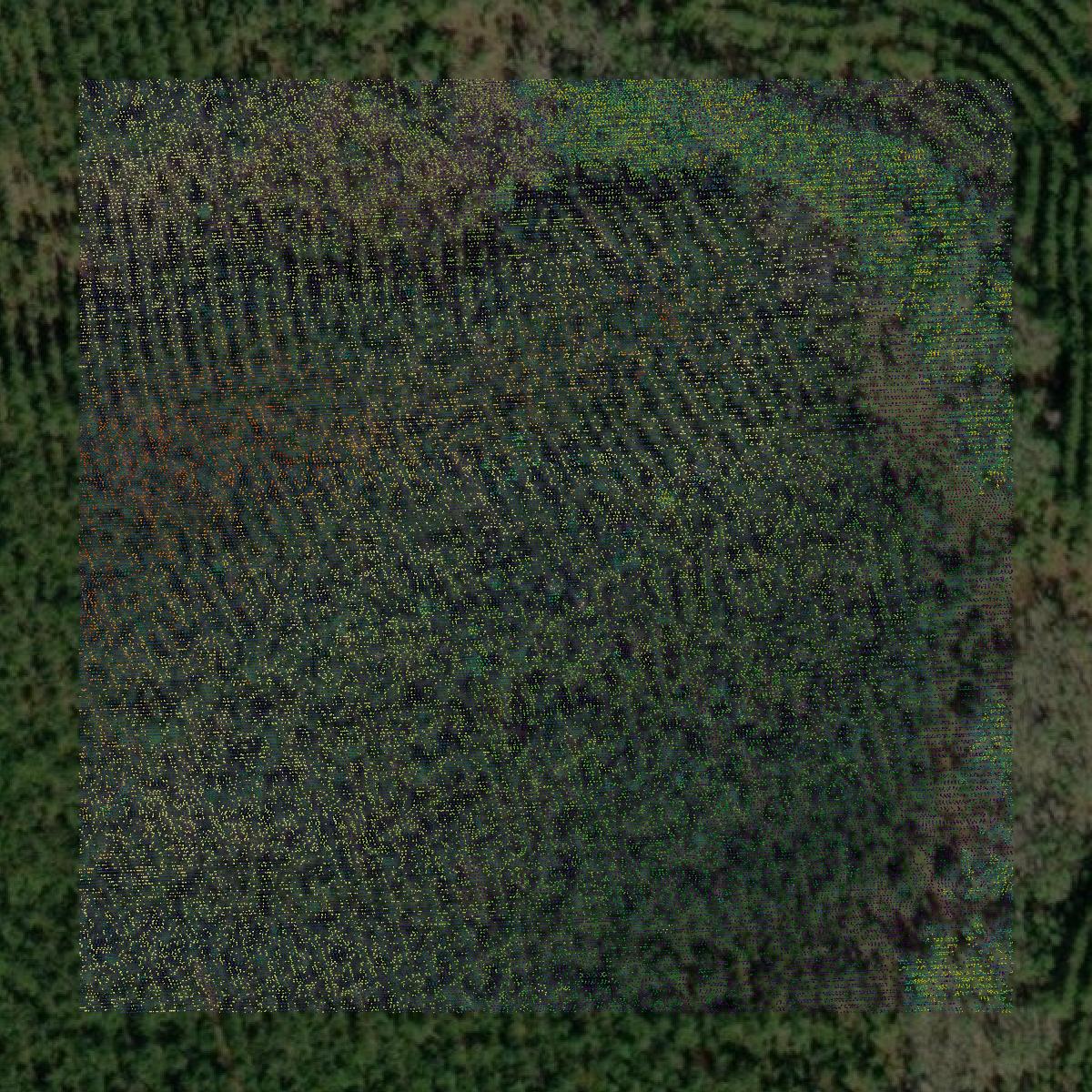 This image shows a LiDAR point cloud in Hancock County created using GIS data in Equator.
