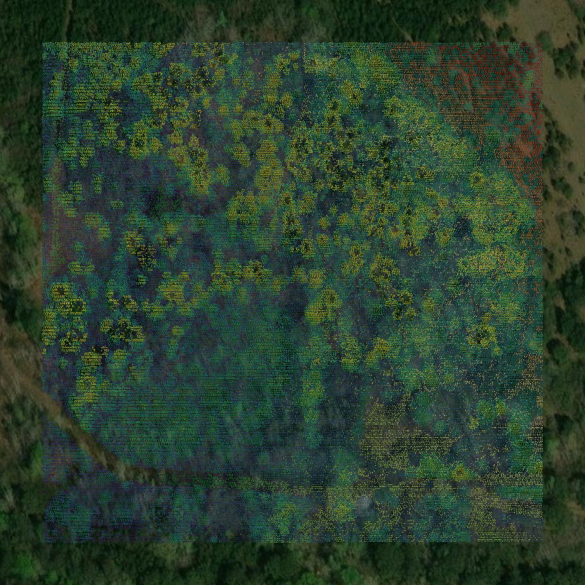 This image shows a LiDAR point cloud in Hancock County created using GIS data in Equator.