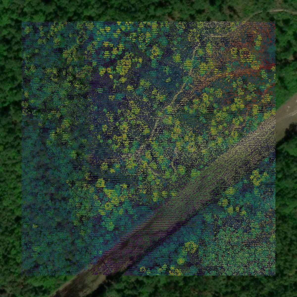This image shows a LiDAR point cloud in Harrison County created using GIS data in Equator.