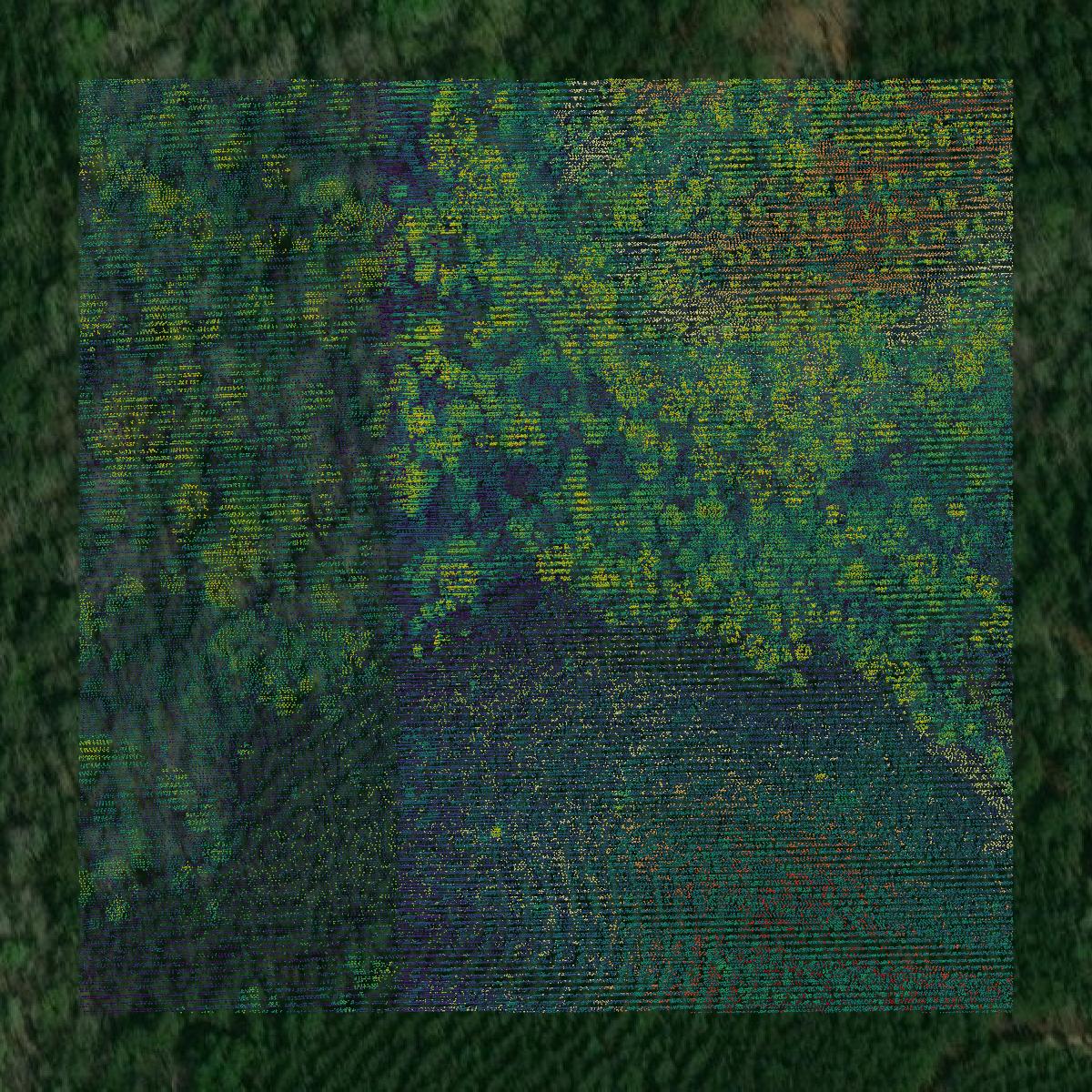 This image shows a LiDAR point cloud in Harrison County created using GIS data in Equator.