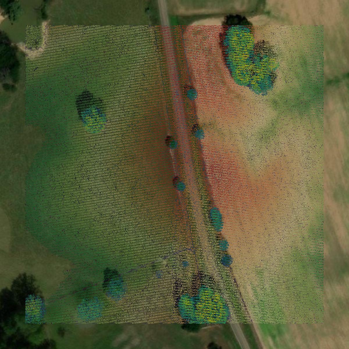 This image shows a LiDAR point cloud in Hinds County created using GIS data in Equator.