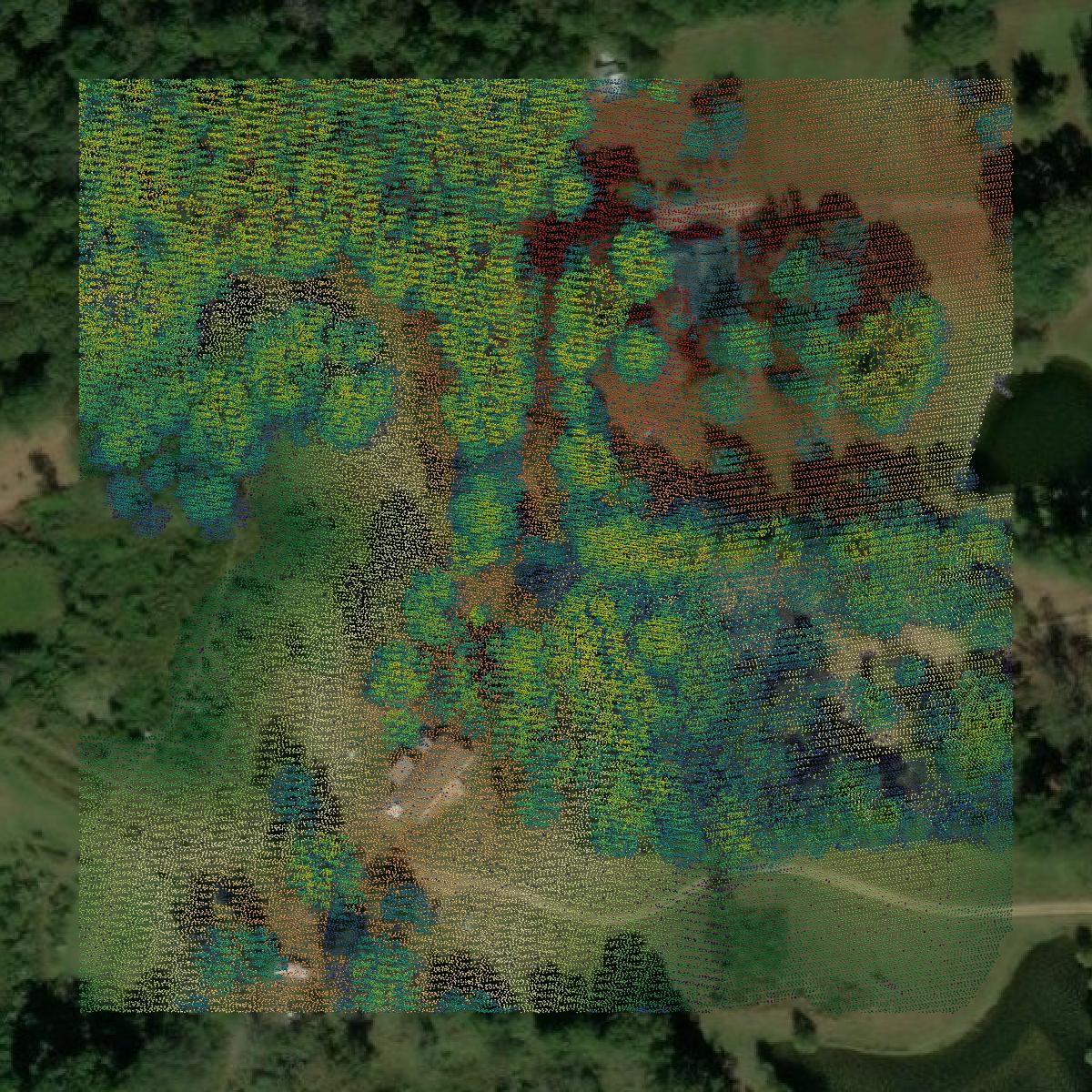 This image shows a LiDAR point cloud in Hinds County created using GIS data in Equator.