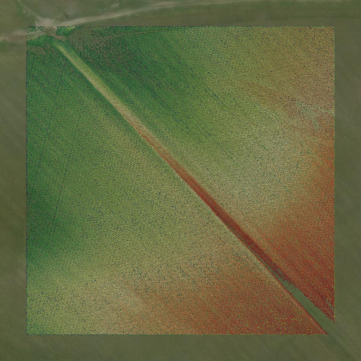 This image shows a LiDAR point cloud in Holmes County created using GIS data in Equator.