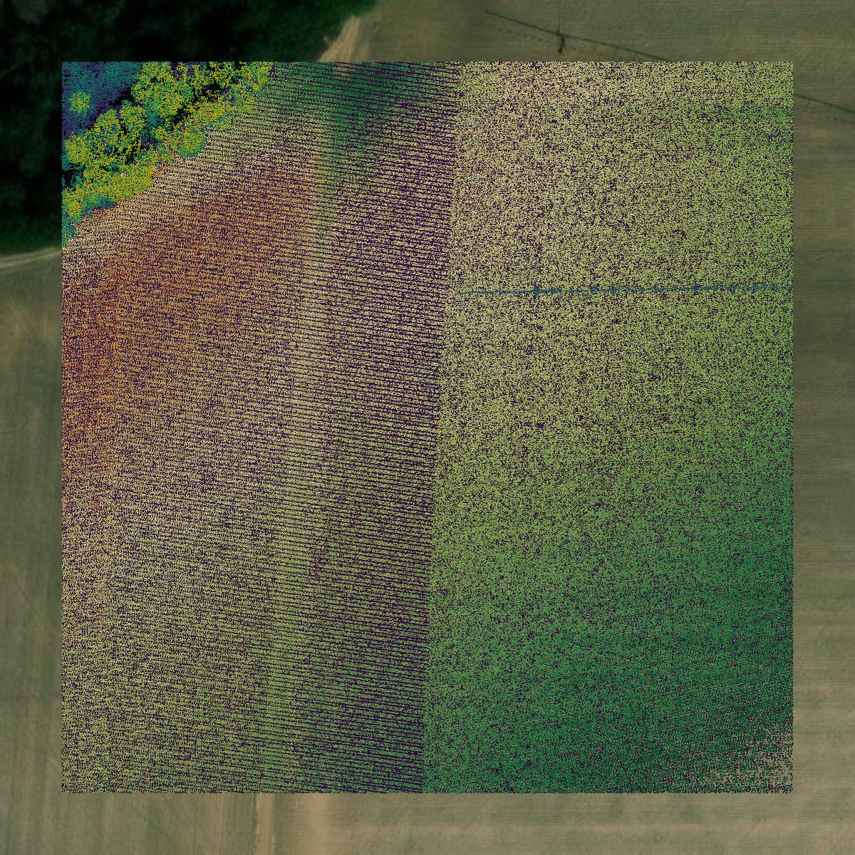 This image shows a LiDAR point cloud in Humphreys County created using GIS data in Equator.