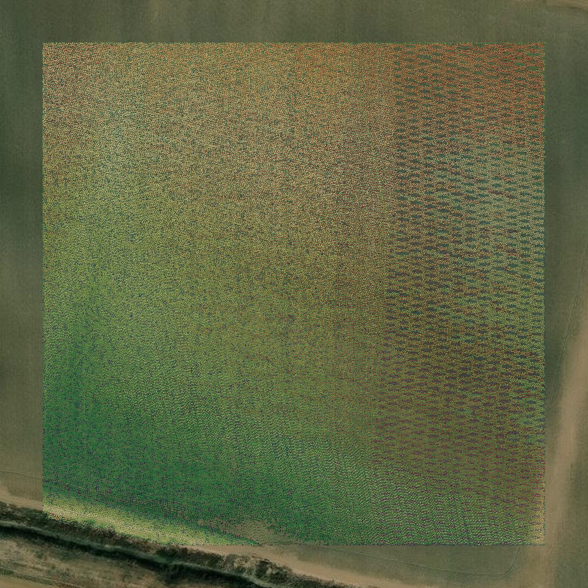 This image shows a LiDAR point cloud in Humphreys County created using GIS data in Equator.
