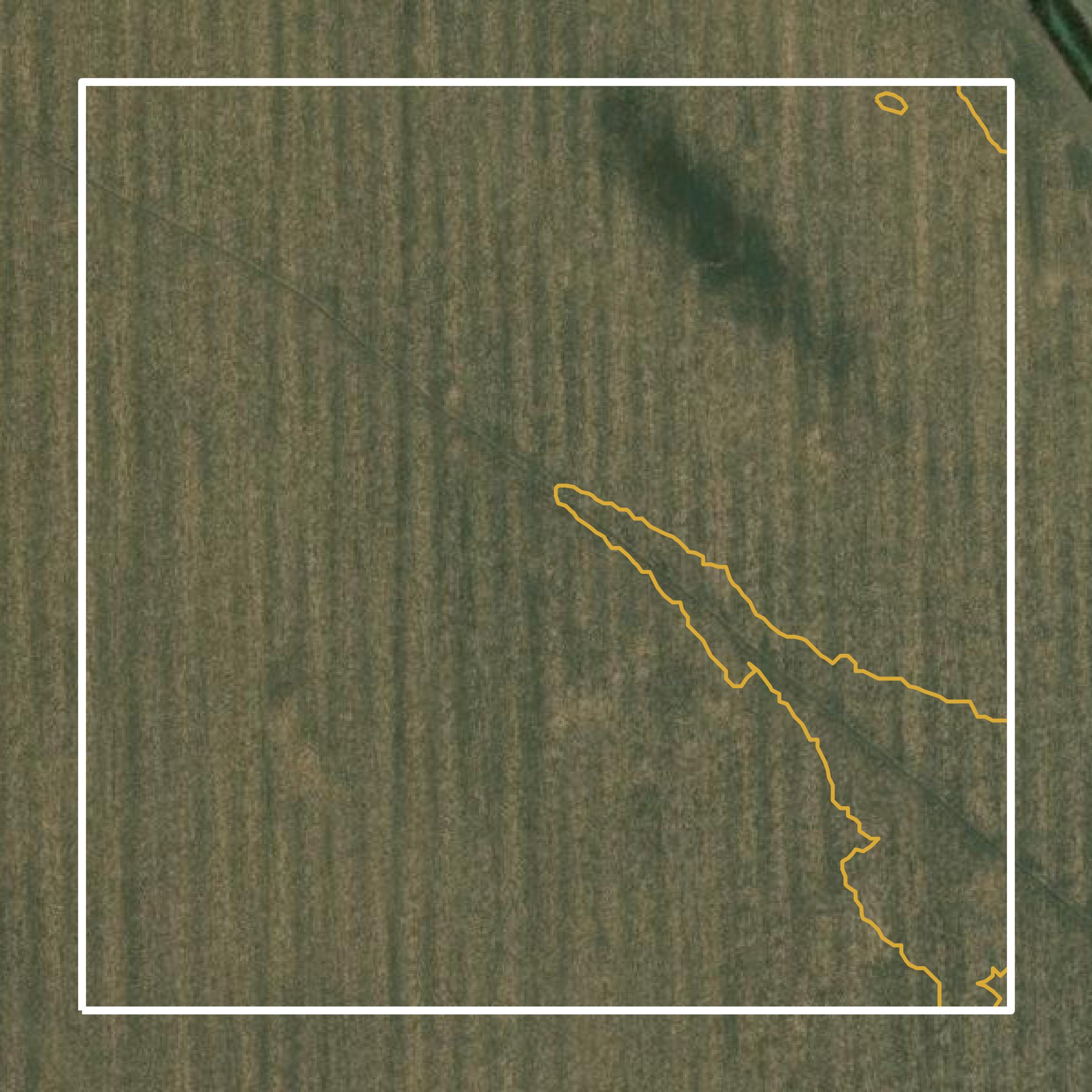 This image shows a contour map in Issaquena County created using GIS data in Equator.