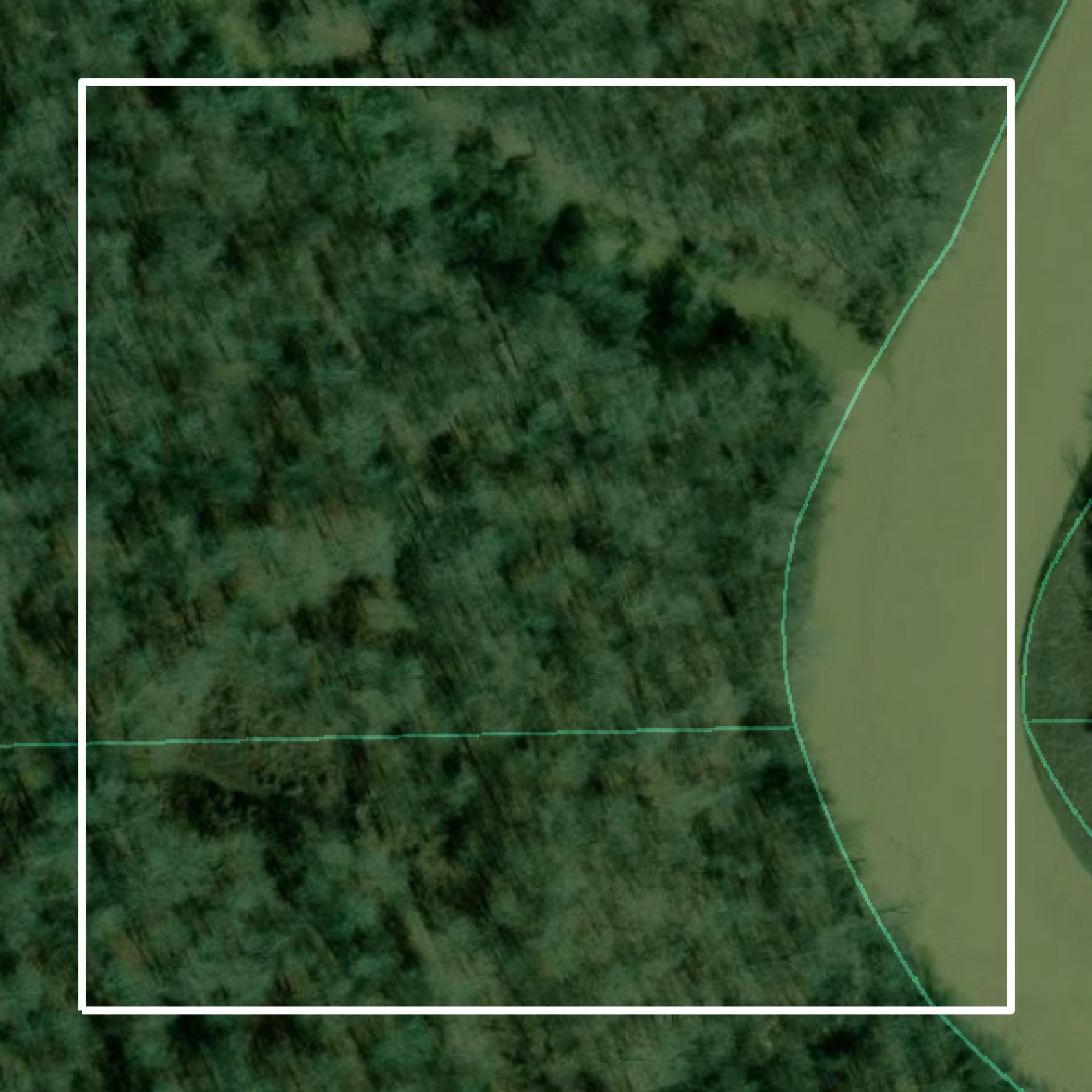 This image shows parcel and building data in Issaquena County created using GIS data in Equator.