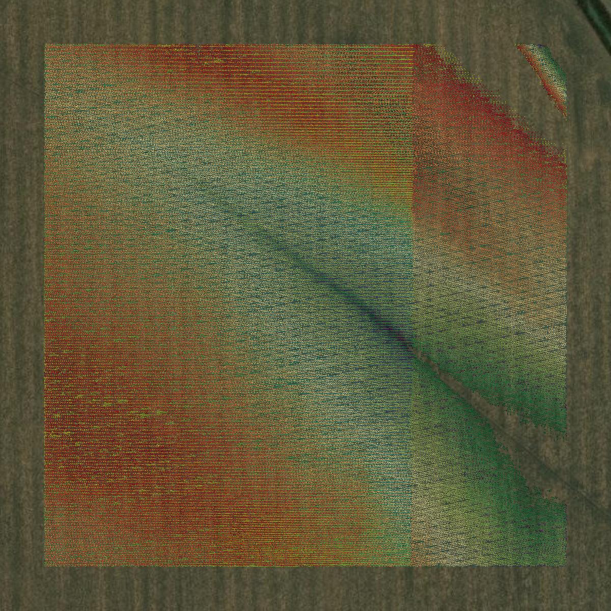 This image shows a LiDAR point cloud in Issaquena County created using GIS data in Equator.