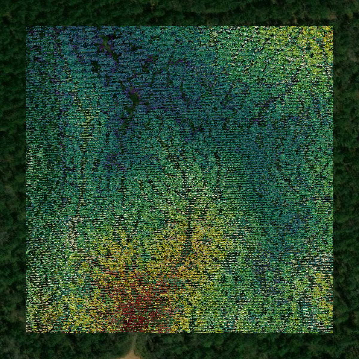 This image shows a LiDAR point cloud in Itawamba County created using GIS data in Equator.