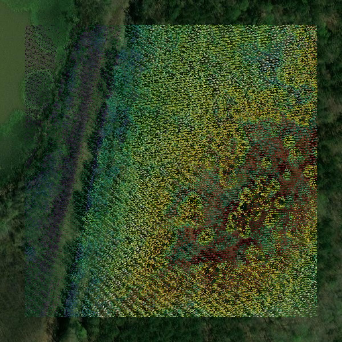 This image shows a LiDAR point cloud in Itawamba County created using GIS data in Equator.