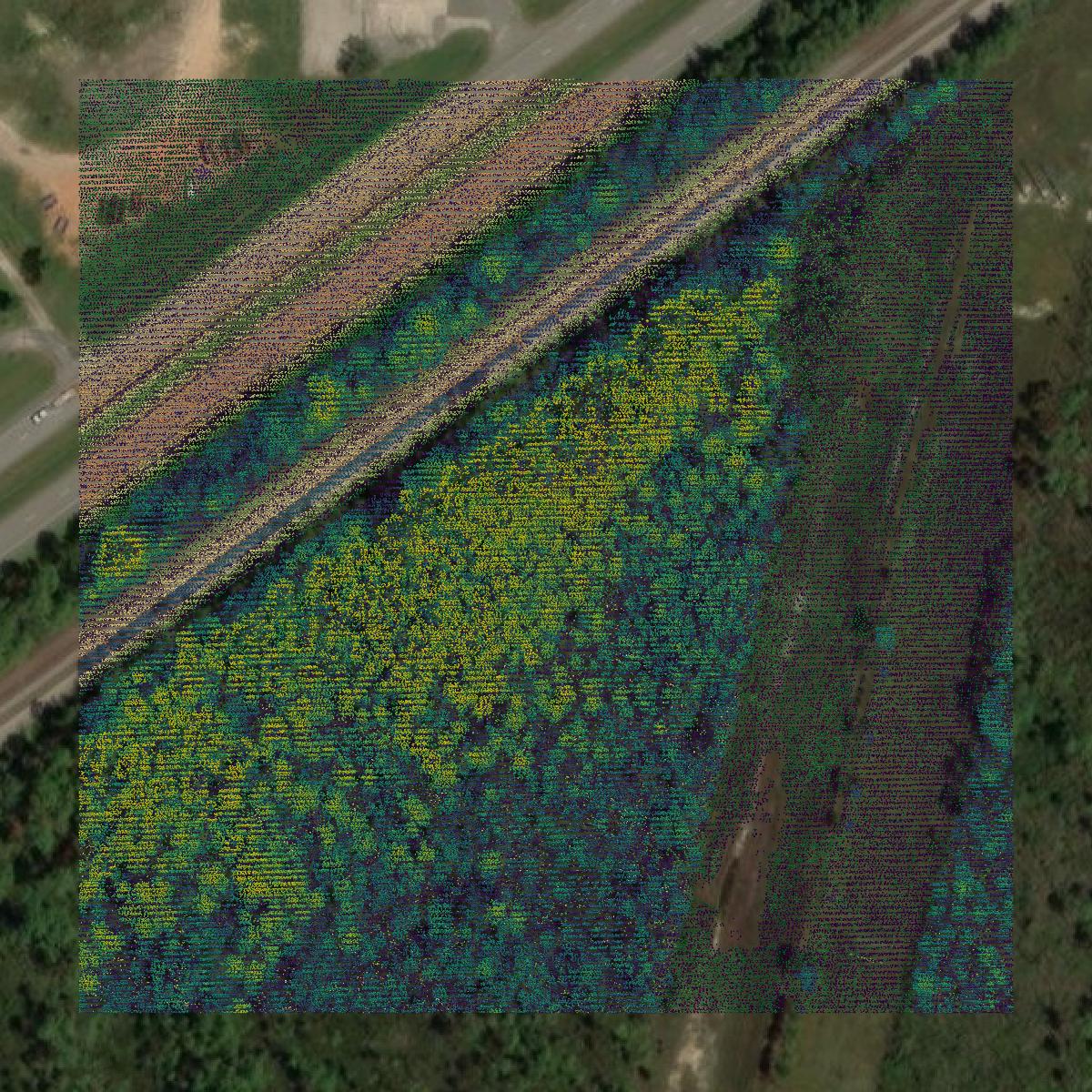 This image shows a LiDAR point cloud in Jackson County created using GIS data in Equator.