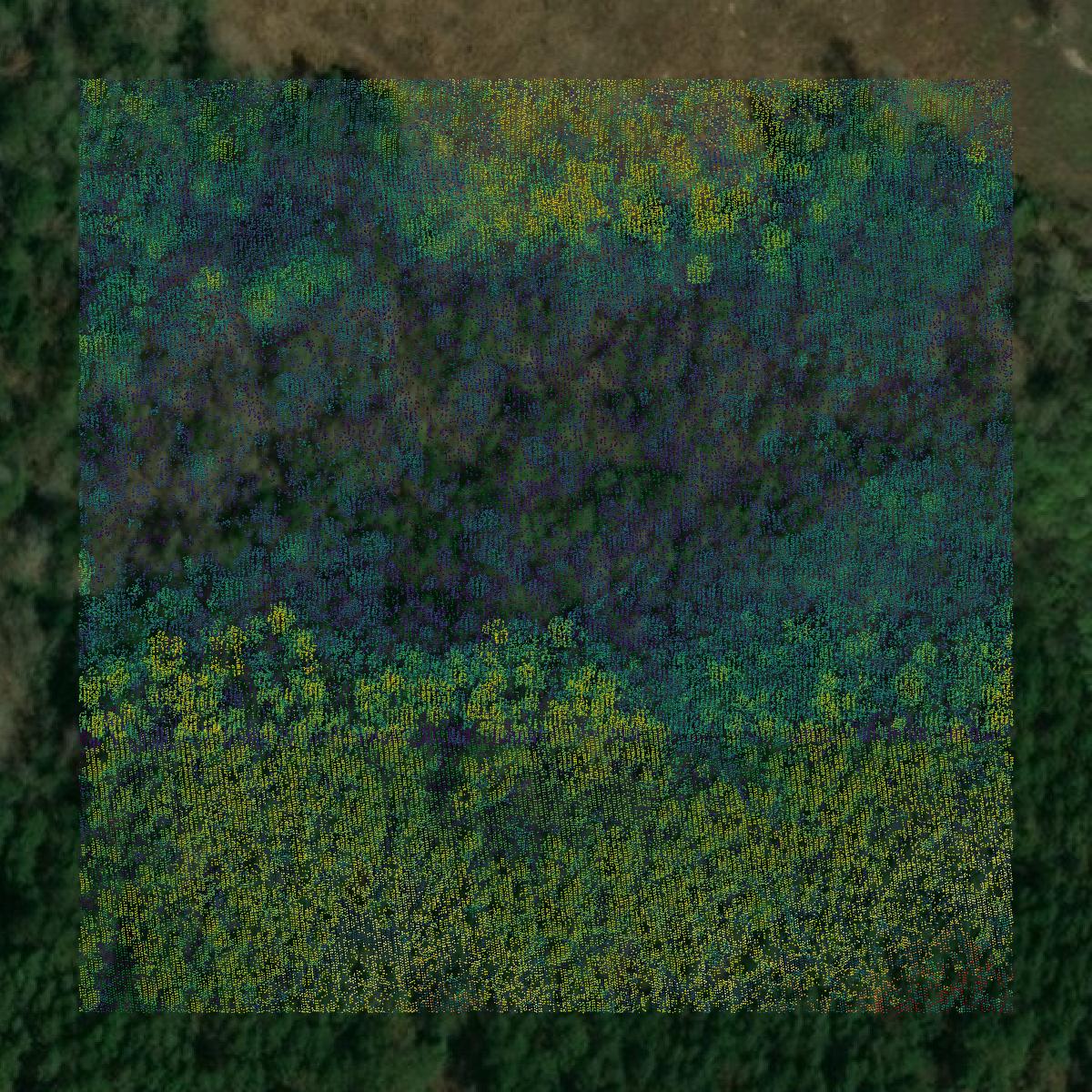 This image shows a LiDAR point cloud in Jasper County created using GIS data in Equator.