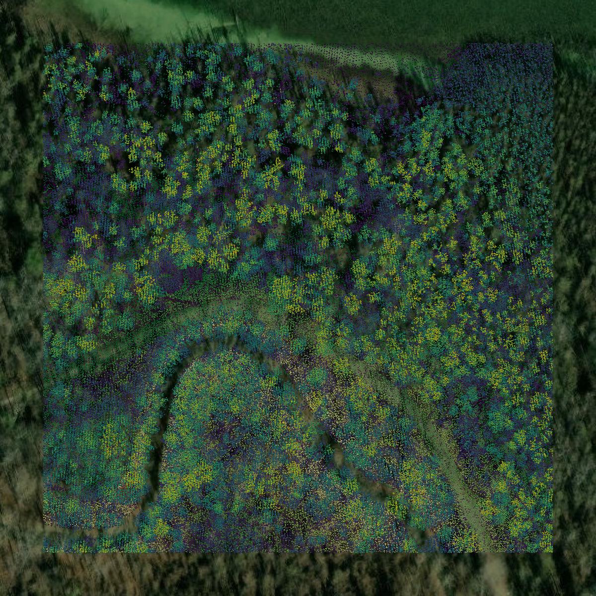 This image shows a LiDAR point cloud in Jefferson County created using GIS data in Equator.