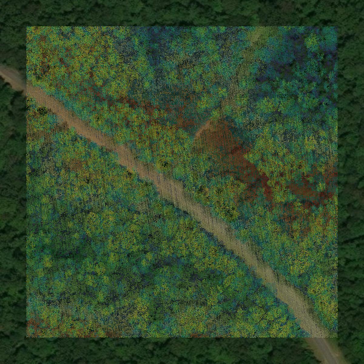 This image shows a LiDAR point cloud in Jefferson County created using GIS data in Equator.