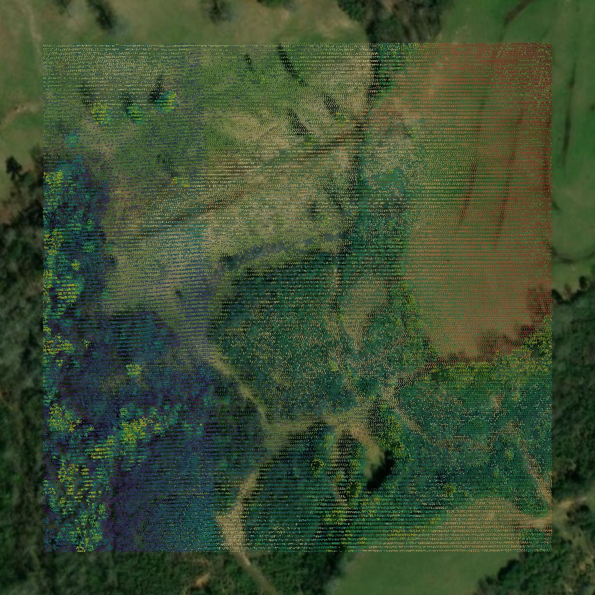This image shows a LiDAR point cloud in Jefferson Davis County created using GIS data in Equator.