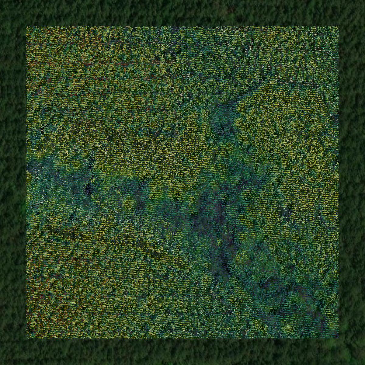 This image shows a LiDAR point cloud in Jefferson Davis County created using GIS data in Equator.