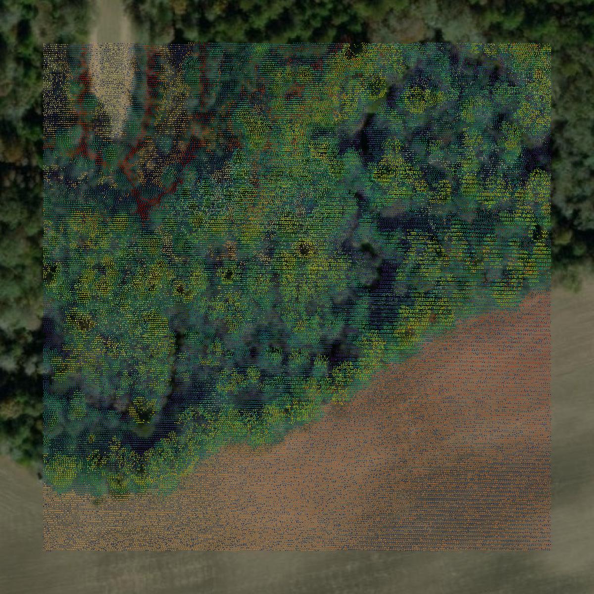 This image shows a LiDAR point cloud in Jones County created using GIS data in Equator.