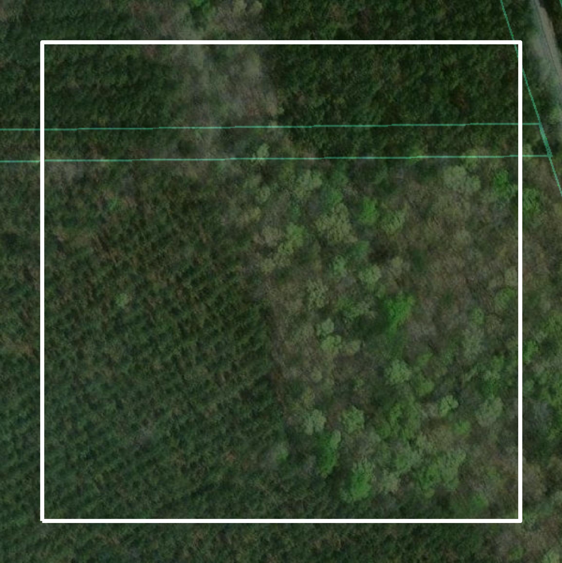 This image shows parcel and building data in Kemper County created using GIS data in Equator.