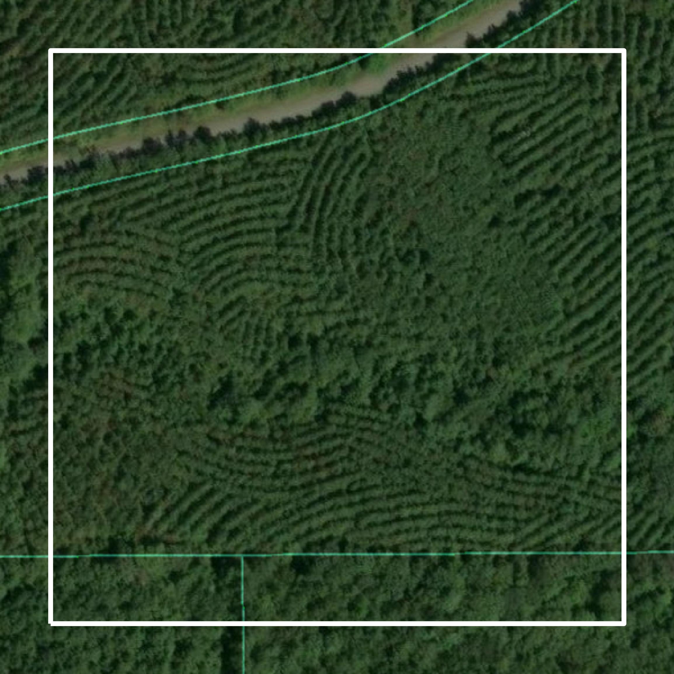 This image shows parcel and building data in Kemper County created using GIS data in Equator.