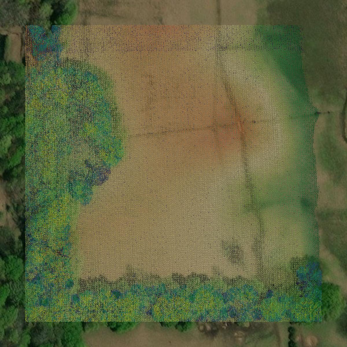 This image shows a LiDAR point cloud in Kemper County created using GIS data in Equator.