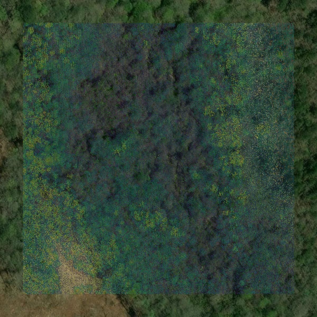 This image shows a LiDAR point cloud in Kemper County created using GIS data in Equator.