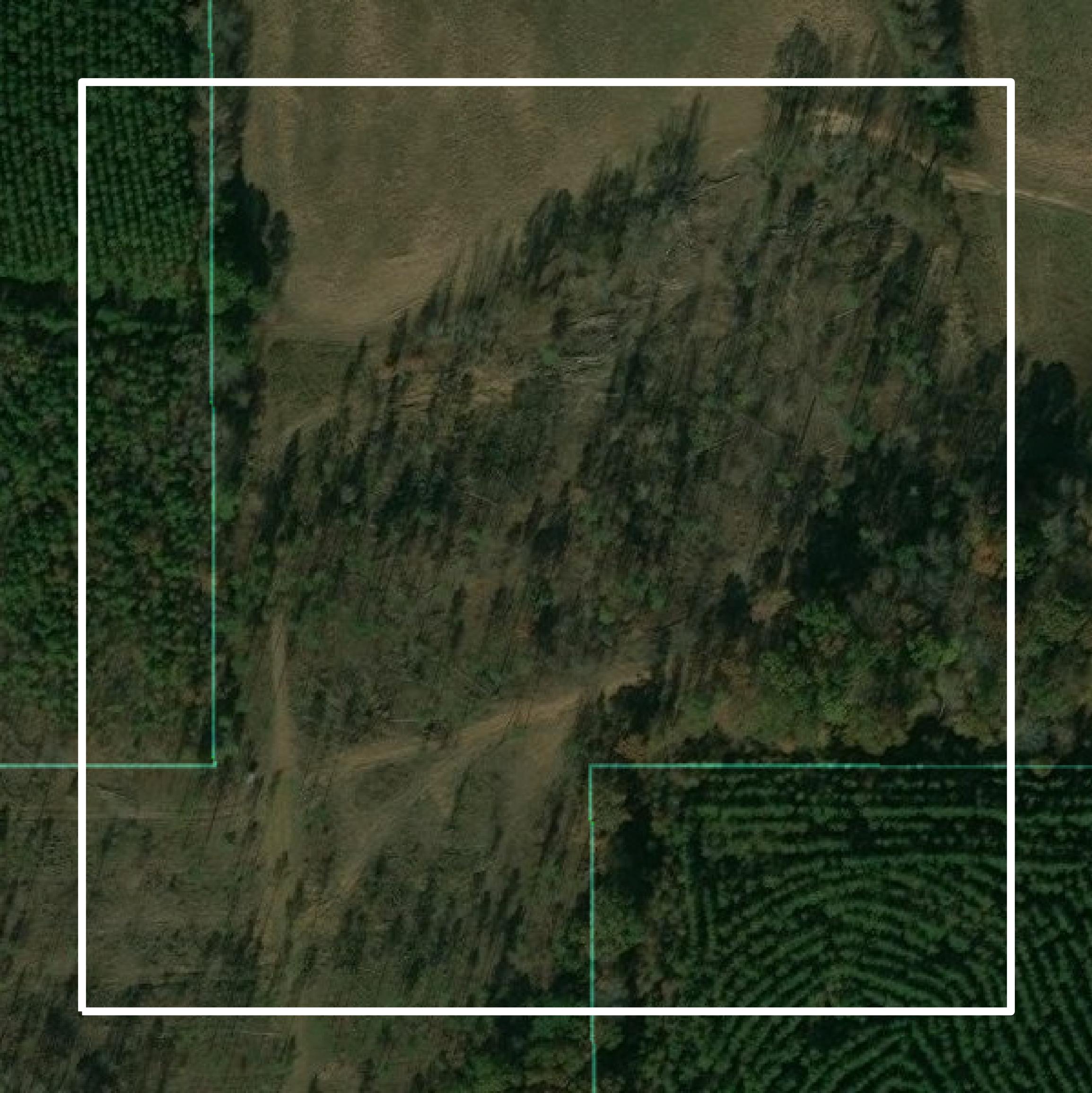 This image shows parcel and building data in Lafayette County created using GIS data in Equator.