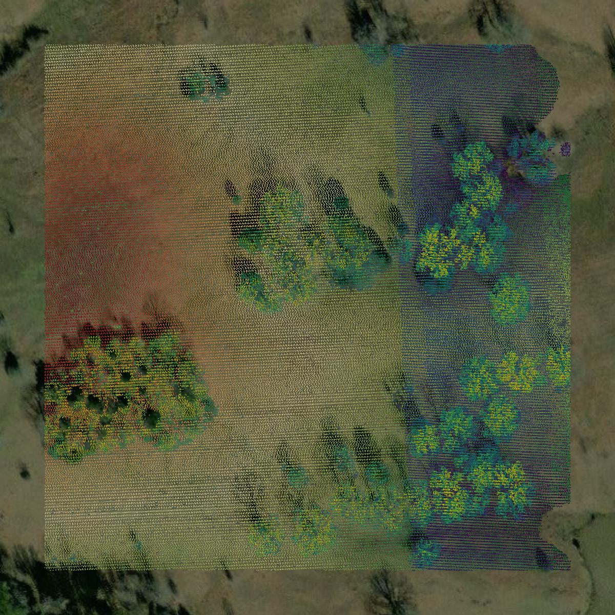 This image shows a LiDAR point cloud in Lafayette County created using GIS data in Equator.