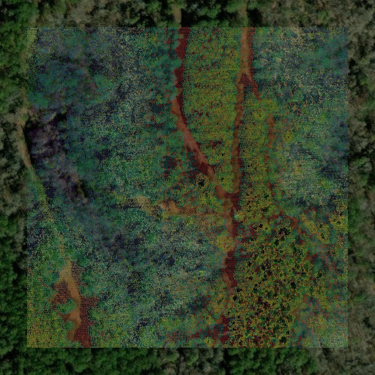 This image shows a LiDAR point cloud in Lafayette County created using GIS data in Equator.