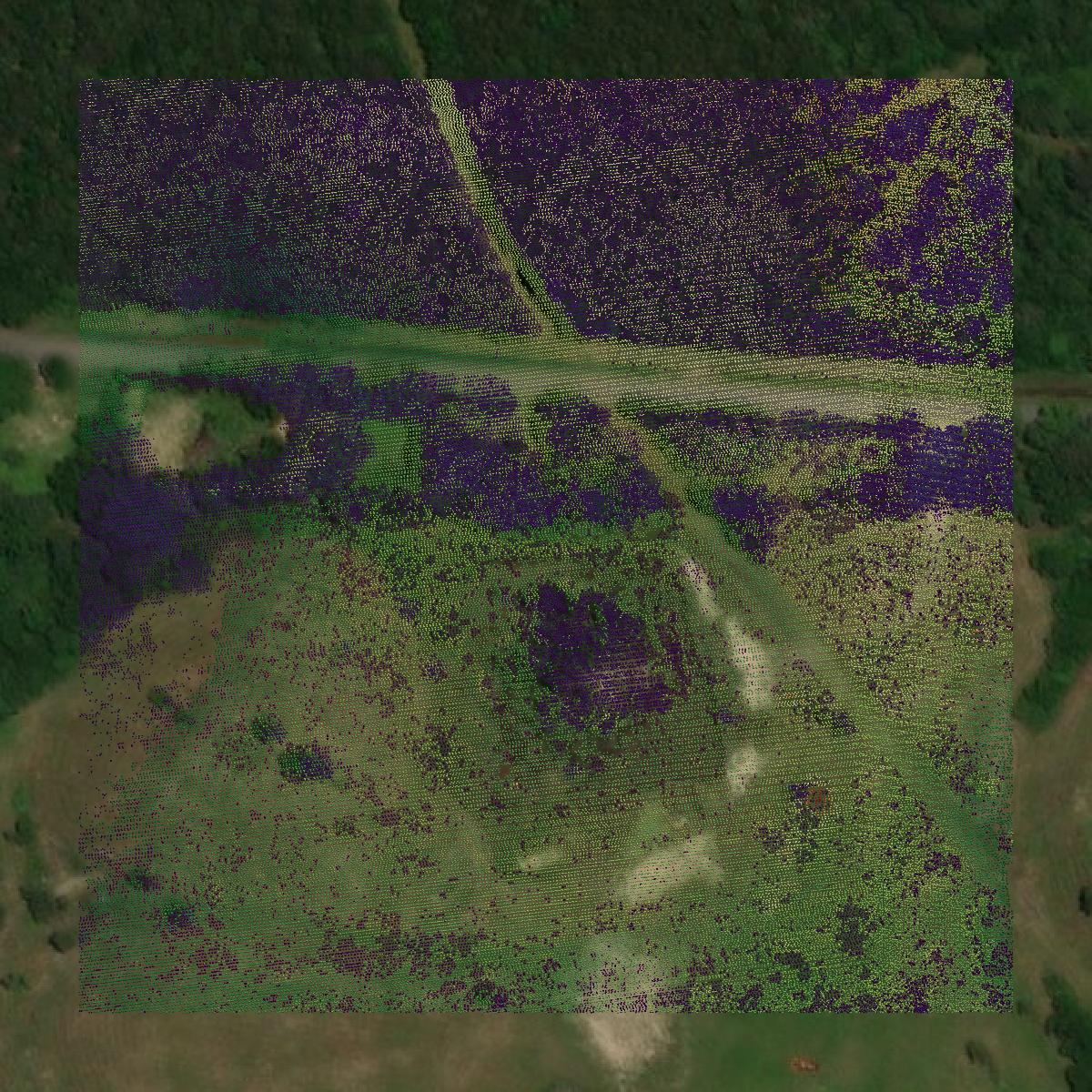 This image shows a LiDAR point cloud in Lamar County created using GIS data in Equator.