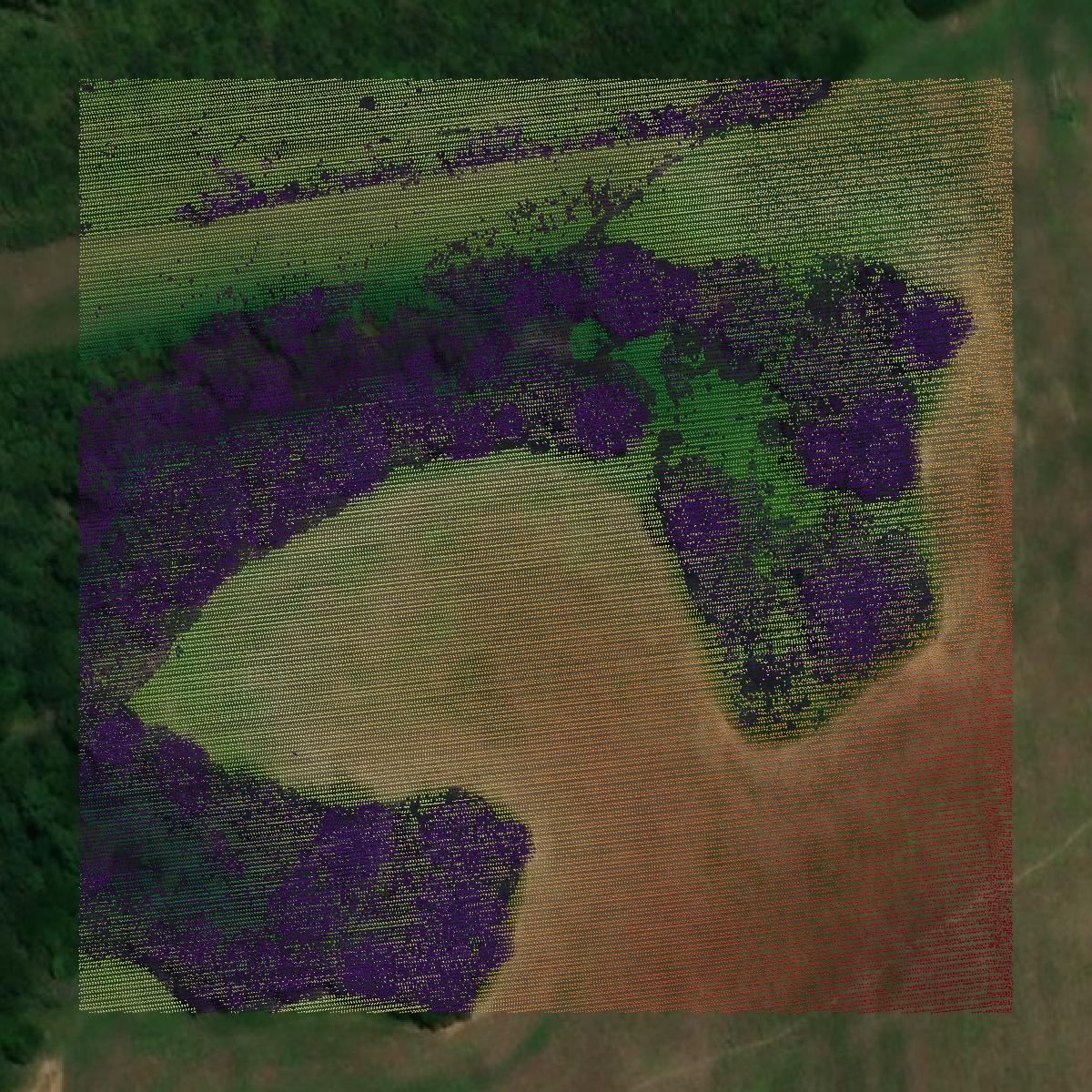 This image shows a LiDAR point cloud in Lamar County created using GIS data in Equator.