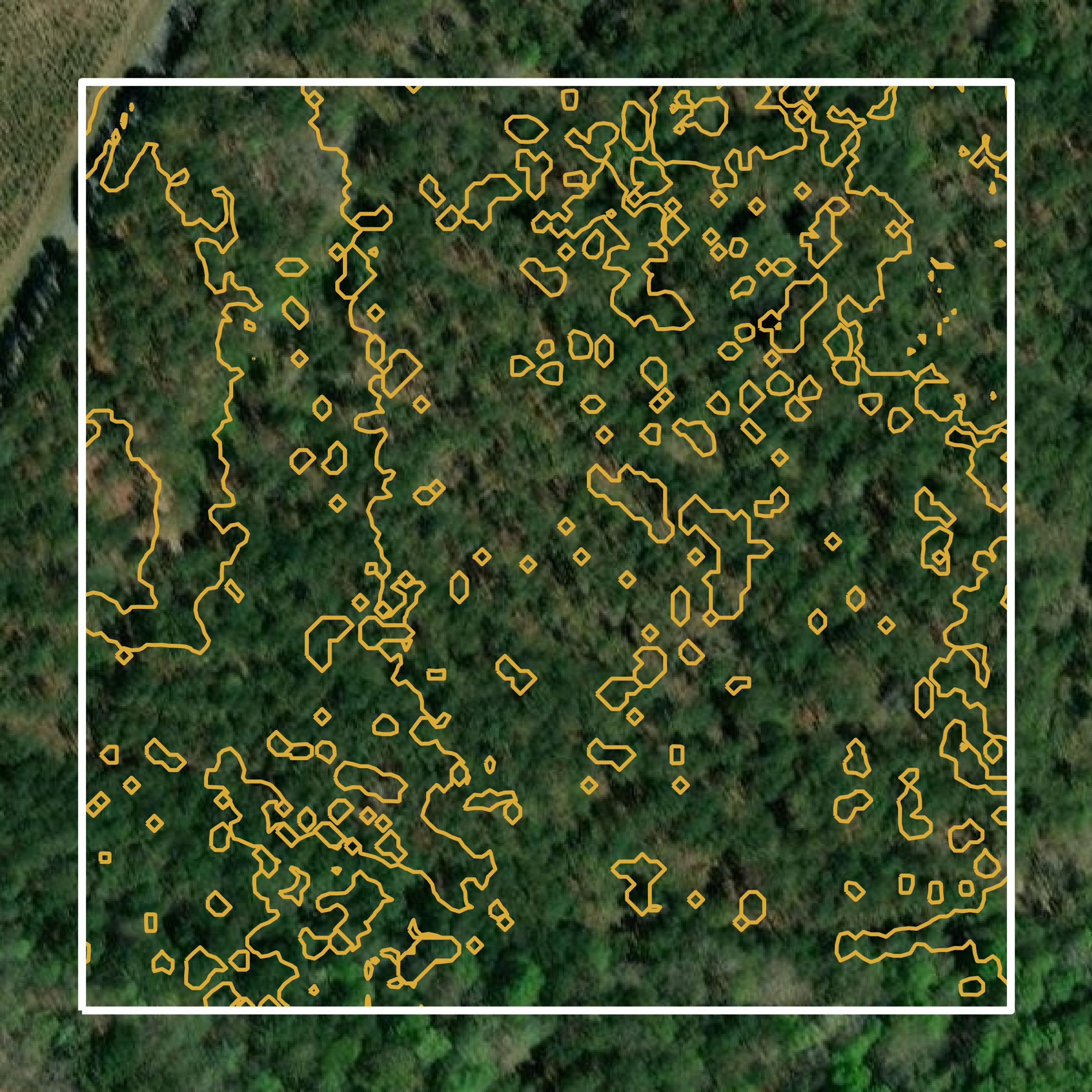 This image shows a contour map in Lauderdale County created using GIS data in Equator.