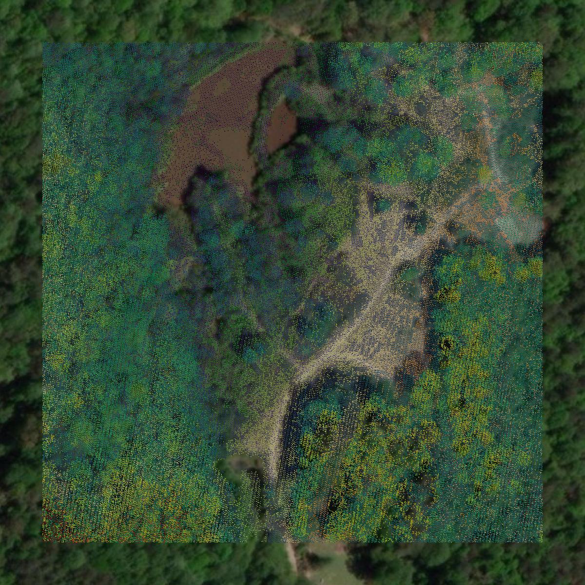 This image shows a LiDAR point cloud in Lauderdale County created using GIS data in Equator.