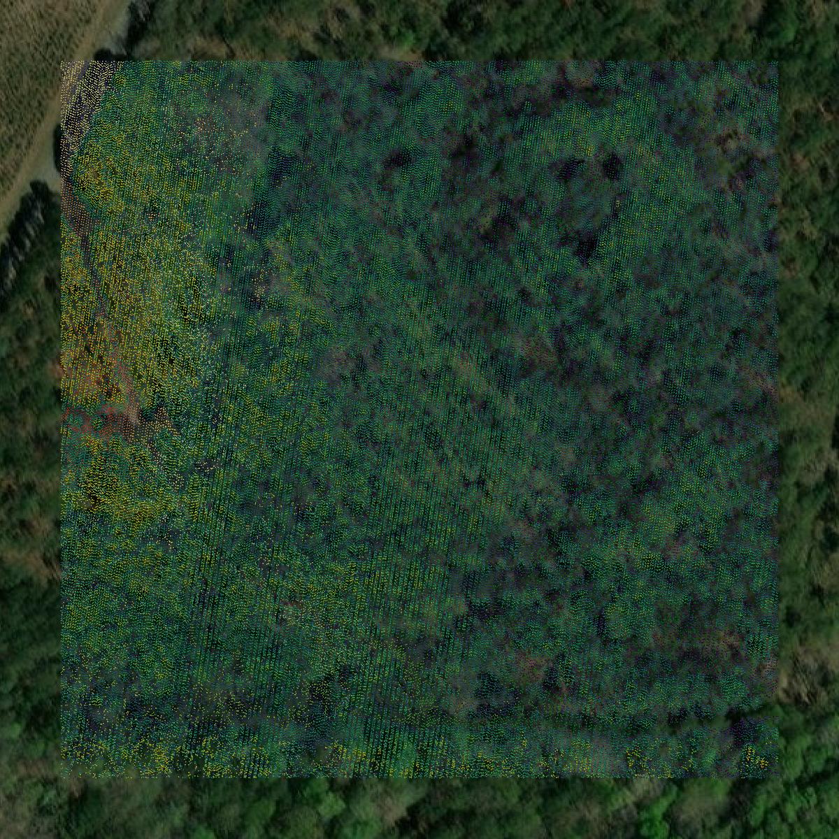 This image shows a LiDAR point cloud in Lauderdale County created using GIS data in Equator.