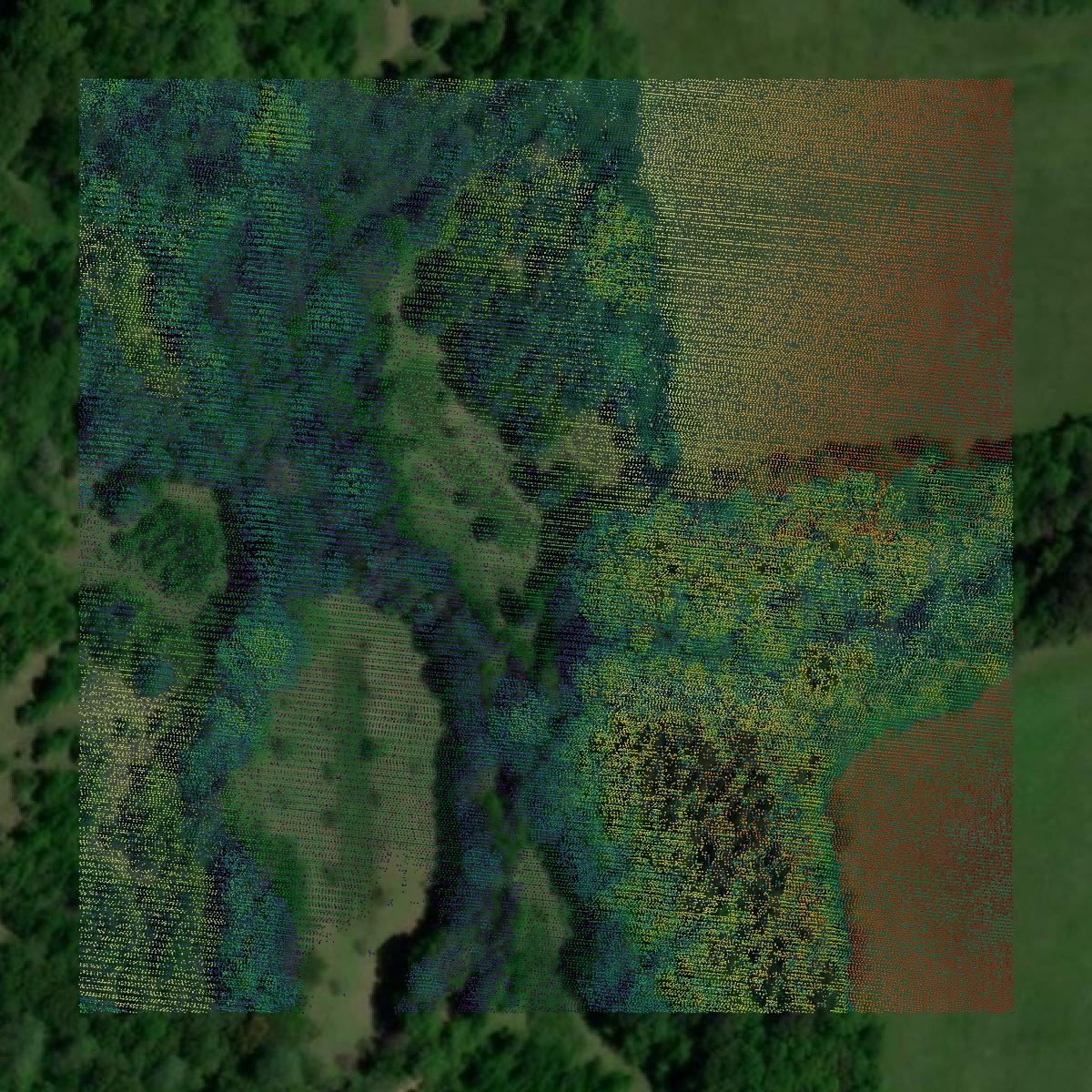 This image shows a LiDAR point cloud in Lawrence County created using GIS data in Equator.